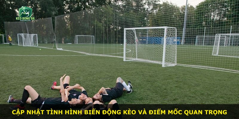 Cập nhật tình hình biến động kèo và điểm mốc quan trọng