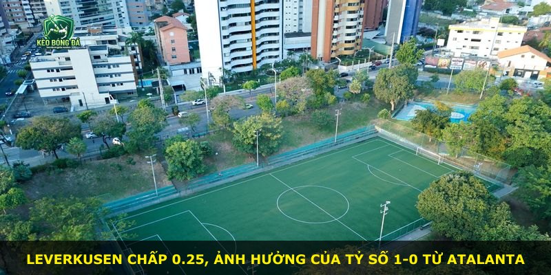 Leverkusen chấp 0.25, ảnh hưởng của tỷ số 1-0 từ Atalanta