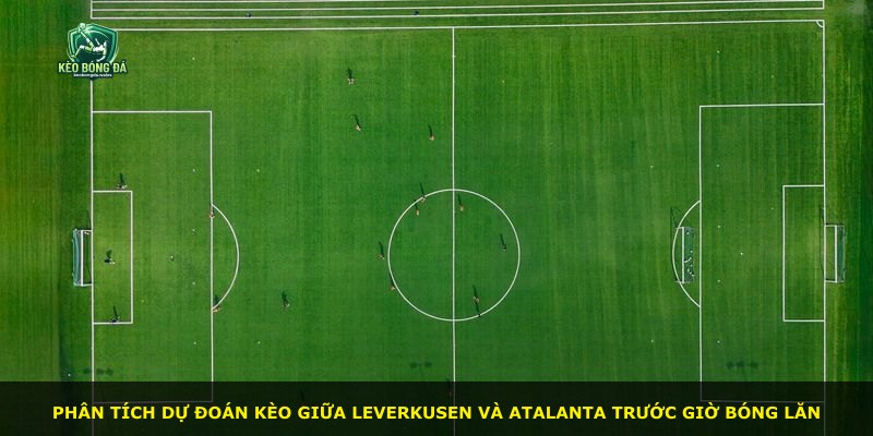Phân tích dự đoán kèo giữa Leverkusen và Atalanta trước giờ bóng lăn