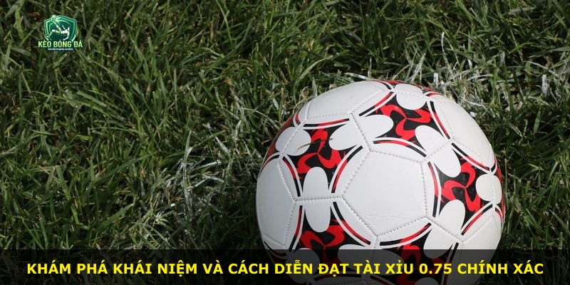 Khám phá khái niệm và cách diễn đạt Tài Xỉu 0.75 chính xác