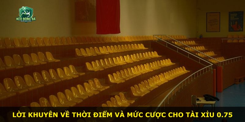 Lời khuyên về thời điểm và mức cược cho Tài Xỉu 0.75