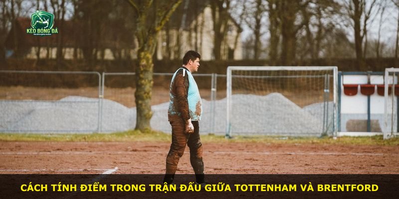 Cách tính điểm trong trận đấu giữa Tottenham và Brentford