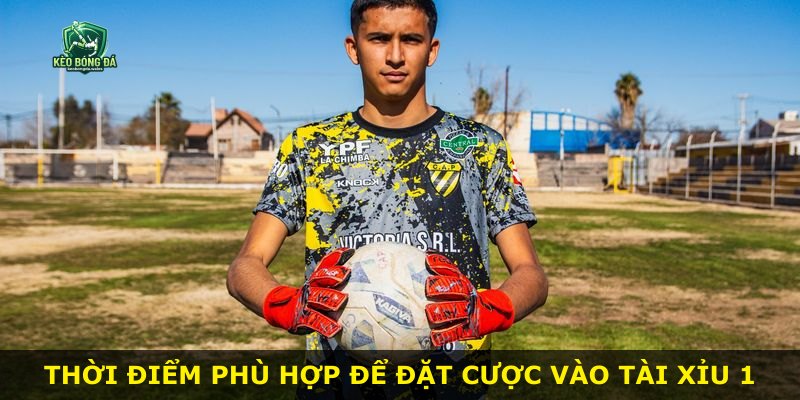 Thời điểm phù hợp để đặt cược vào Tài Xỉu 1