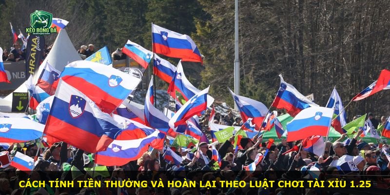 Cách tính tiền thưởng và hoàn lại theo luật chơi Tài Xỉu 1.25