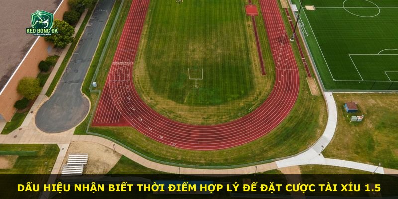 Dấu hiệu nhận biết thời điểm hợp lý để đặt cược Tài Xỉu 1.5