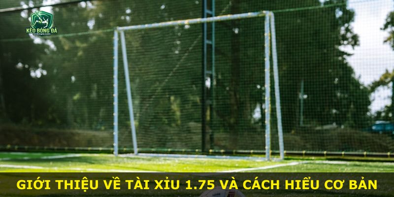 Giới thiệu về Tài Xỉu 1.75 và cách hiểu cơ bản