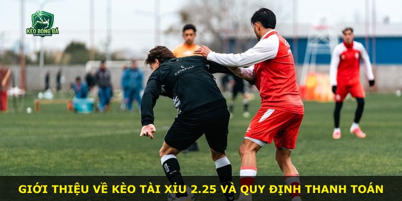 Giới thiệu về kèo Tài Xỉu 2.25 và quy định thanh toán