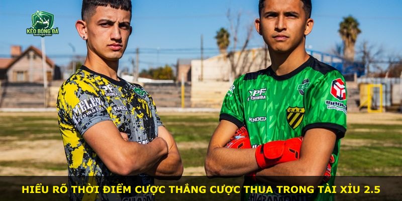 Hiểu rõ thời điểm cược thắng cược thua trong Tài Xỉu 2.5