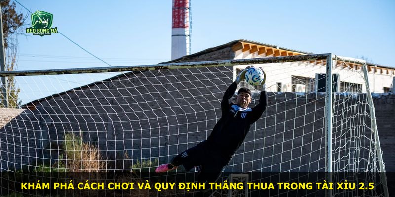 Khám phá cách chơi và quy định thắng thua trong Tài Xỉu 2.5