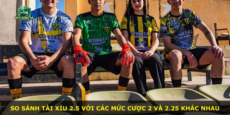 So sánh Tài Xỉu 2.5 với các mức cược 2 và 2.25 khác nhau