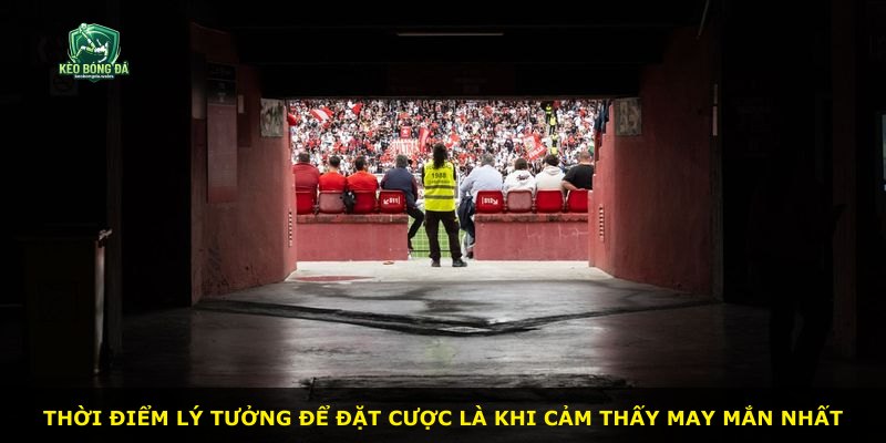 Thời điểm lý tưởng để đặt cược là khi cảm thấy may mắn nhất