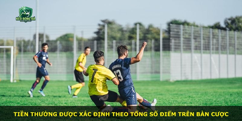 Tiền thưởng được xác định theo tổng số điểm trên bàn cược