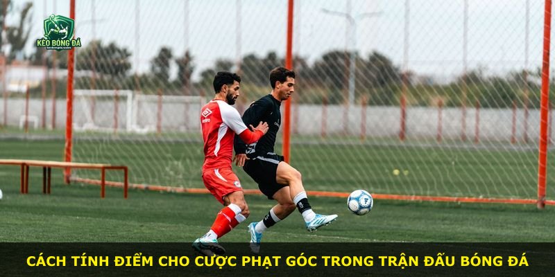 Cách tính điểm cho cược phạt góc trong trận đấu bóng đá