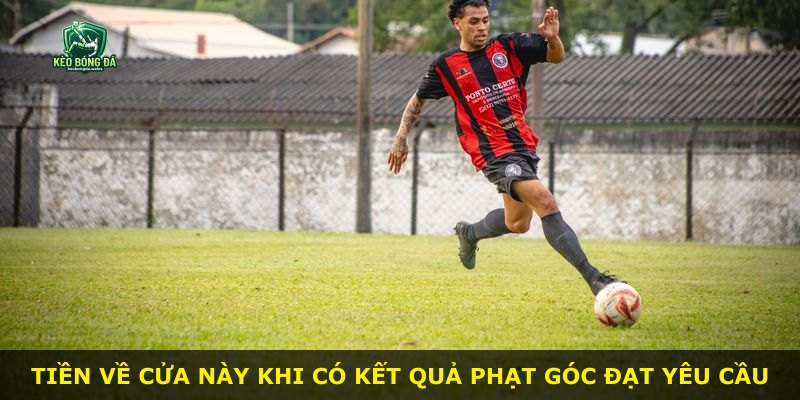 Tiền về cửa này khi có kết quả phạt góc đạt yêu cầu