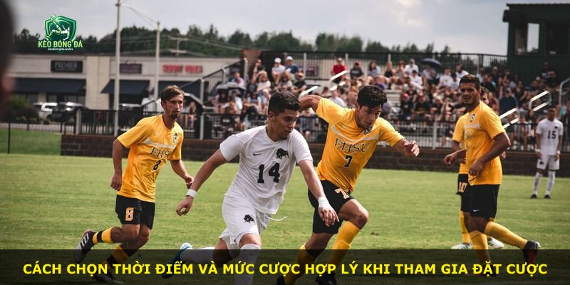 Cách chọn thời điểm và mức cược hợp lý khi tham gia đặt cược