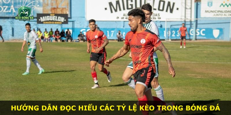 Hướng dẫn đọc hiểu các tỷ lệ kèo trong bóng đá