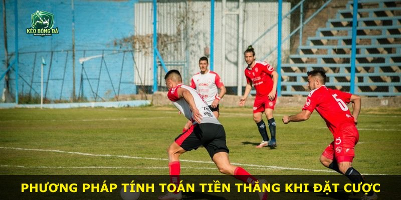 Phương pháp tính toán tiền thắng khi đặt cược