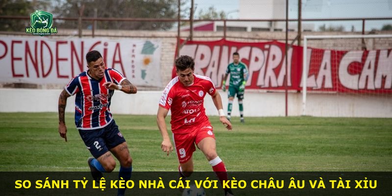 So sánh tỷ lệ kèo nhà cái với kèo châu Âu và tài xỉu