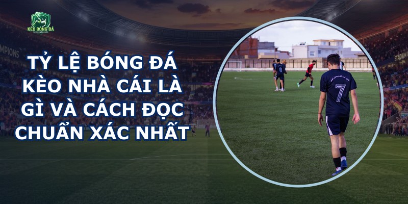 Tỷ Lệ Bóng Đá Kèo Nhà Cái