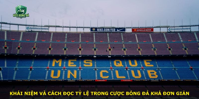 Khái niệm và cách đọc tỷ lệ trong cược bóng đá khá đơn giản