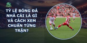 Tỷ Lệ Bóng Đá Nhà Cái