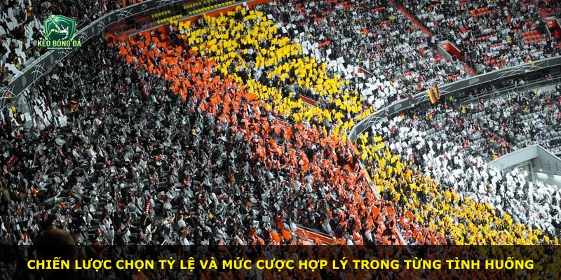 Chiến lược chọn tỷ lệ và mức cược hợp lý trong từng tình huống