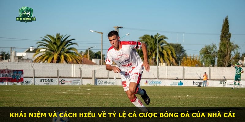Khái niệm và cách hiểu về tỷ lệ cá cược bóng đá của nhà cái