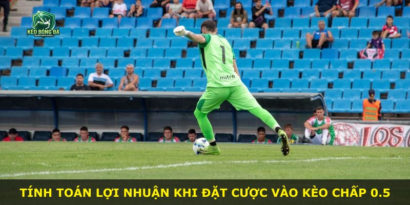 Tính toán lợi nhuận khi đặt cược vào kèo chấp 0.5