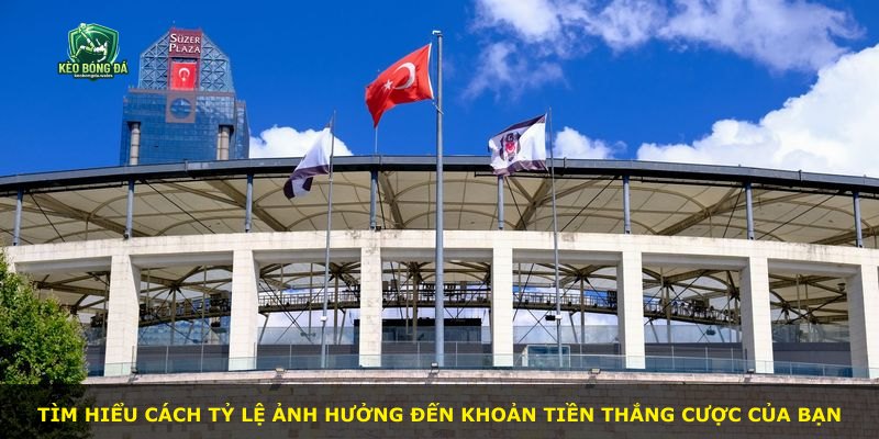 Tìm hiểu cách tỷ lệ ảnh hưởng đến khoản tiền thắng cược của bạn