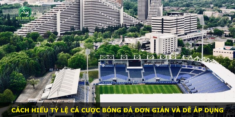 Cách hiểu tỷ lệ cá cược bóng đá đơn giản và dễ áp dụng