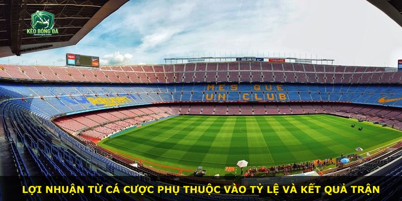 Lợi nhuận từ cá cược phụ thuộc vào tỷ lệ và kết quả trận