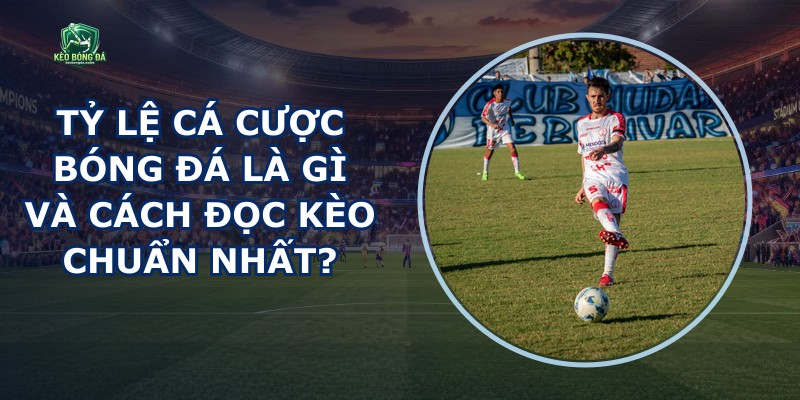 Tỷ Lệ Cá Cược Bóng Đá