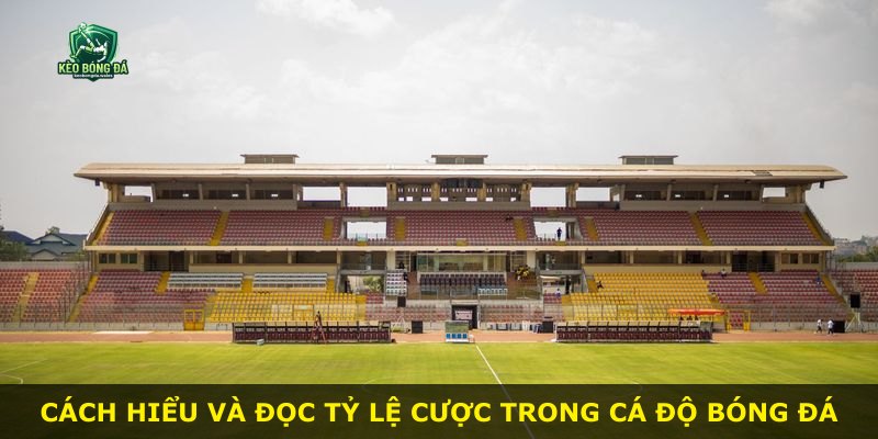 Cách hiểu và đọc tỷ lệ cược trong cá độ bóng đá