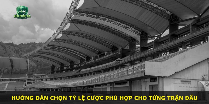 Hướng dẫn chọn tỷ lệ cược phù hợp cho từng trận đấu