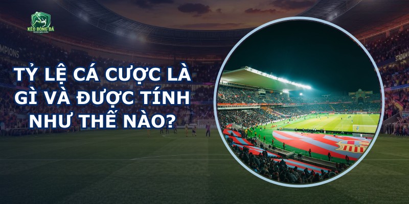 Tỷ Lệ Cá Cược
