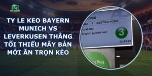 Ty Le Keo Bayern Munich Vs Leverkusen