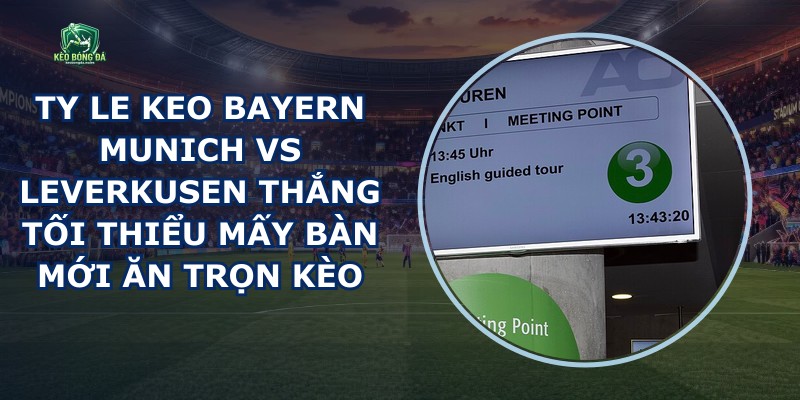 Ty Le Keo Bayern Munich Vs Leverkusen