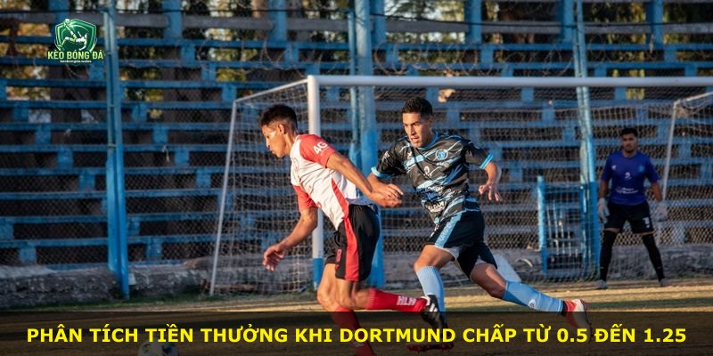 Phân tích tiền thưởng khi Dortmund chấp từ 0.5 đến 1.25