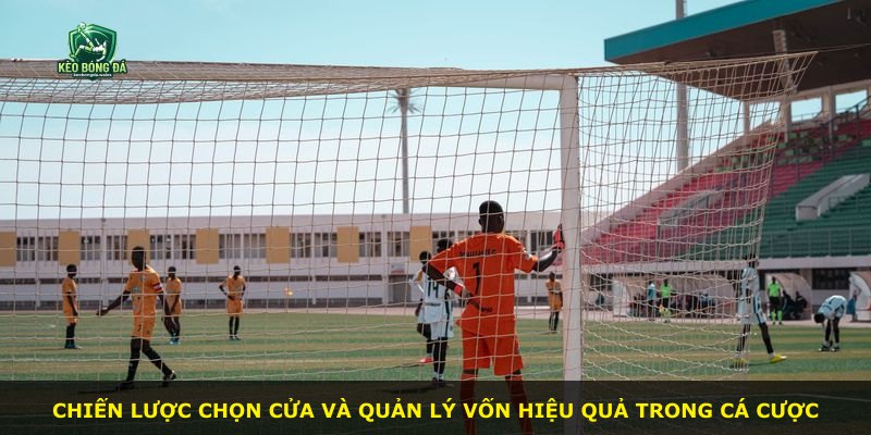 Chiến lược chọn cửa và quản lý vốn hiệu quả trong cá cược