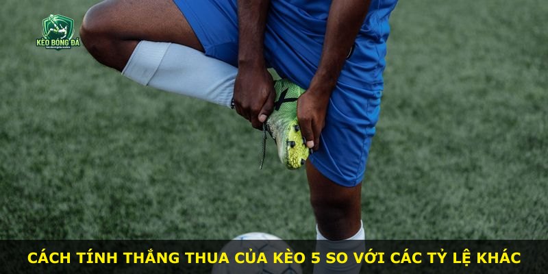 Cách tính thắng thua của kèo 5 so với các tỷ lệ khác