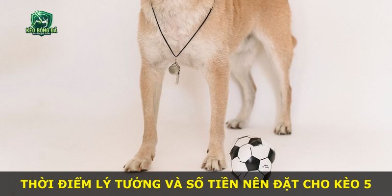 Thời điểm lý tưởng và số tiền nên đặt cho kèo 5