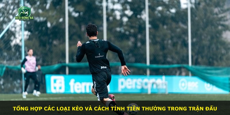Tổng hợp các loại kèo và cách tính tiền thưởng trong trận đấu