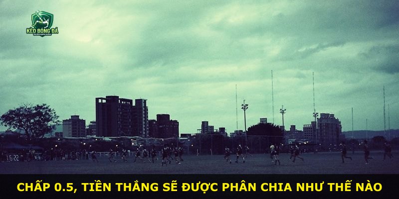 Chấp 0.5, tiền thắng sẽ được phân chia như thế nào