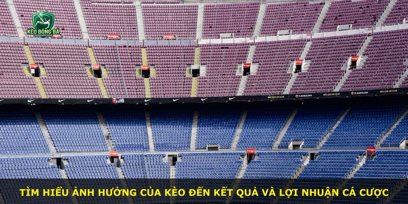 Tìm hiểu ảnh hưởng của kèo đến kết quả và lợi nhuận cá cược