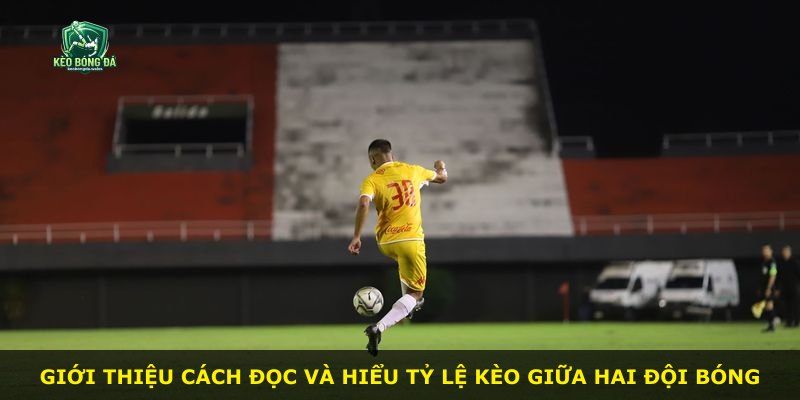 Giới thiệu cách đọc và hiểu tỷ lệ kèo giữa hai đội bóng