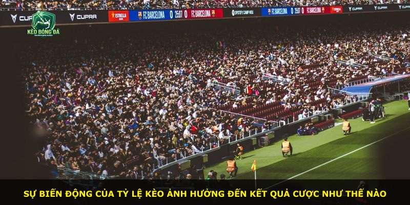 Sự biến động của tỷ lệ kèo ảnh hưởng đến kết quả cược như thế nào