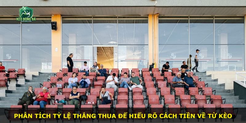 Phân tích tỷ lệ thắng thua để hiểu rõ cách tiền về từ kèo