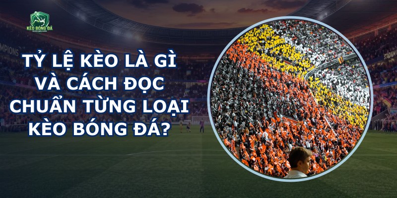 Tỷ Lệ Kèo