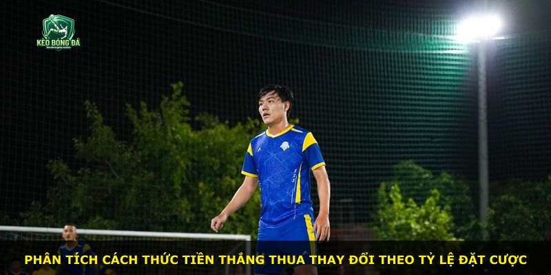 Phân tích cách thức tiền thắng thua thay đổi theo tỷ lệ đặt cược