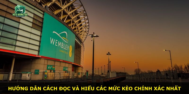Hướng dẫn cách đọc và hiểu các mức kèo chính xác nhất